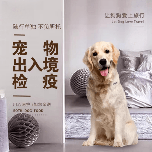 呼伦贝尔市宠物托运到哥伦比亚猫狗宠物入境规定和