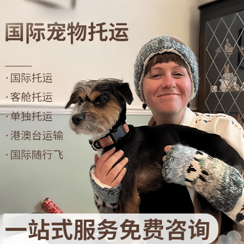 呼伦贝尔市国际宠物托运到阿根廷宠物入境规定和要