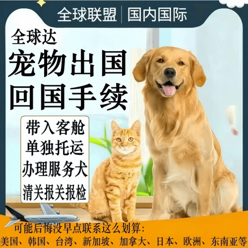 呼伦贝尔市宠物托运到柬埔寨宠物入境规定和要求