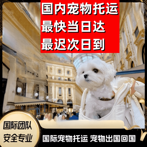 呼伦贝尔市到澳大利亚（澳洲）宠物入境规定和要求